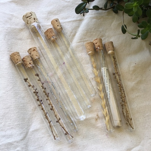 Science Test Tubes Bundle Lot Of 9 Home Decor - Picture 2 of 6